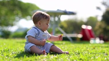 Baby infant seated outside at park in nature picking piece of leaf, child exploring the world