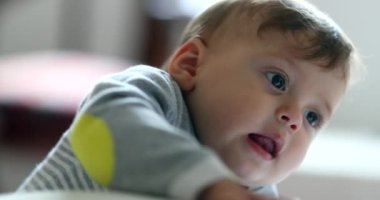 Adorable baby infant toddler boy portrait learning to stand