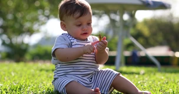 Child Baby Toddler Seated Grass Exploring World — Stock video