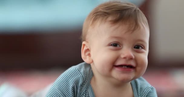 Bashful Cute Baby Infant Smiling — Stock videók