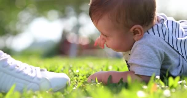 Baby Toddler Crawling Grass Mother Lifting Baby — Vídeo de Stock