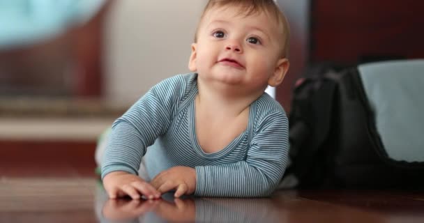 Cute Baby Toddler Crawling Home Hardwood Floor — Stockvideo