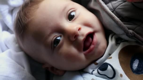 Expressive Happy Joyful Baby Toddler Infant Boy Face Looking Camera — Video Stock