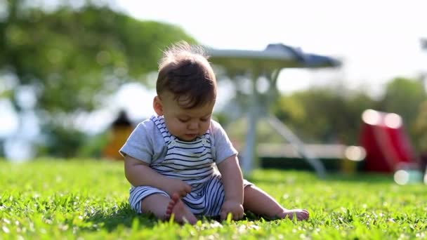 Adorable Baby Child Seated Grass Nature Putting Leaf Mouth — Vídeo de Stock