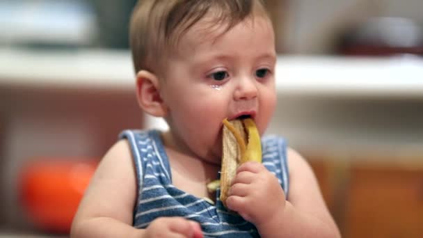 Baby Toddler Eating Banana Skin — Stok video