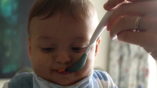 Feeding Cute Baby Meal Spoon Closeup Toddler Boy Child Face — Vídeo de Stock