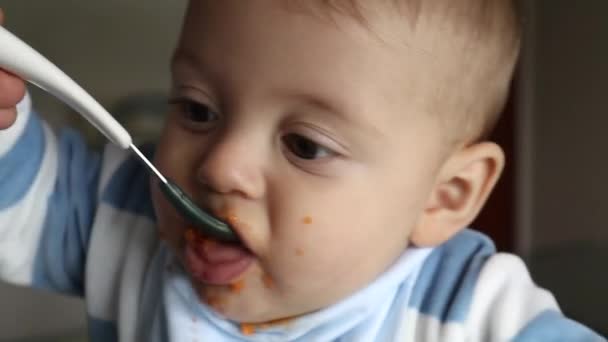 Parent Feeding Baby Lunch Mother Feeds Toddler Infnt — 图库视频影像