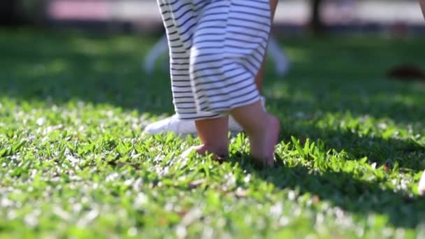 Baby Infant Learning Walk Child Stepping Grass — Stock video