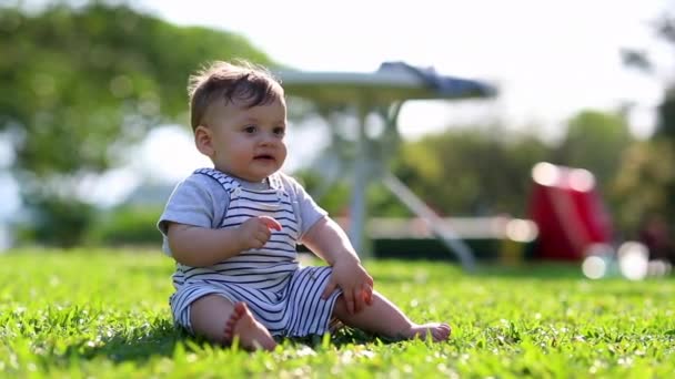 Cute Baby Child Seated Grass Nature — Wideo stockowe