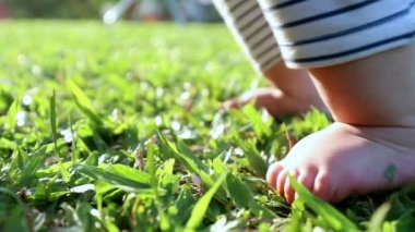Closeup of baby feet learning to walk outside in nature