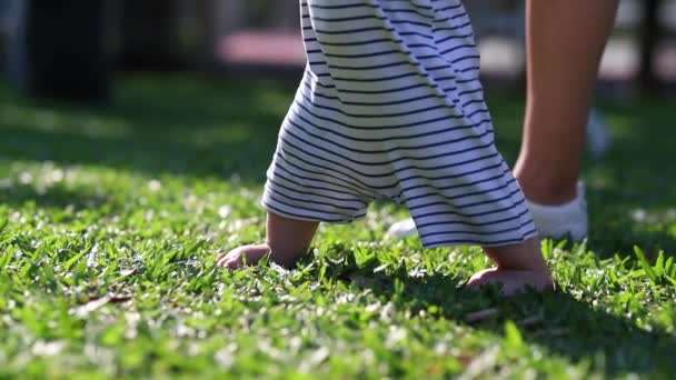 Baby Toddler Learning Walk Park Infant Stepping Grass — ストック動画