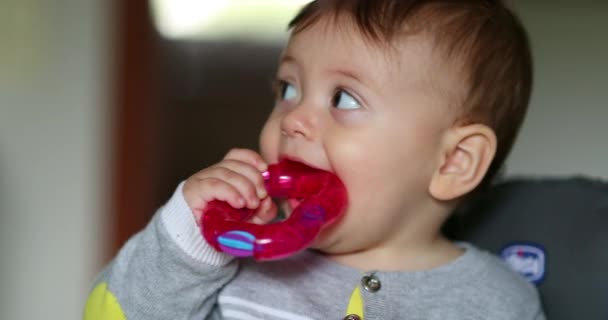 Παιδί Που Βάζει Παιχνίδι Στο Στόμα Βρεφική Οδοντοφυΐα — Αρχείο Βίντεο