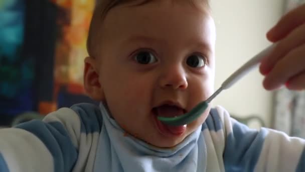 Feeding Baby Toddler Boy Closeup Infant Face Eating Lunch — Wideo stockowe