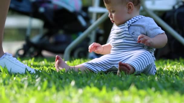 Child Baby Seated Grass Exploring Nature — Vídeo de Stock