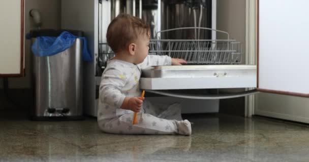Adorable Cute Baby Exploring Kitchen Dishwasher — Vídeo de stock
