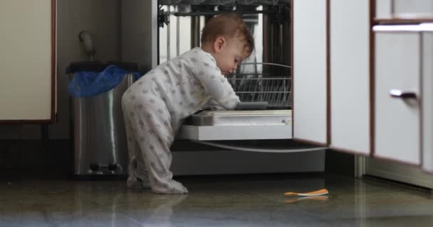 Adorable Baby Toddler Using Dishwasher Kitchen Casual Candid — Vídeo de Stock