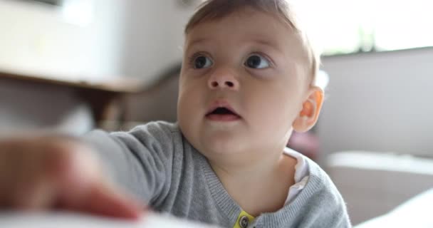 Cute Baby Toddler Portrait Looking Camera — Vídeo de Stock