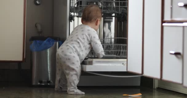 Adorable Baby Standing Dishwasher Kitchen — Vídeo de Stock