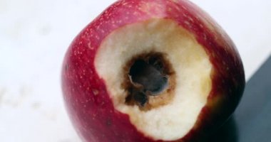 Rotting apple with mold inside