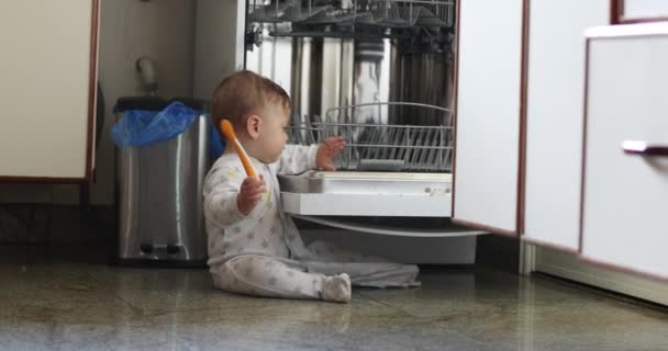 Baby Using Dishwasher Toddler Seated Kitchen Casual Family Authentic Scene — ストック動画