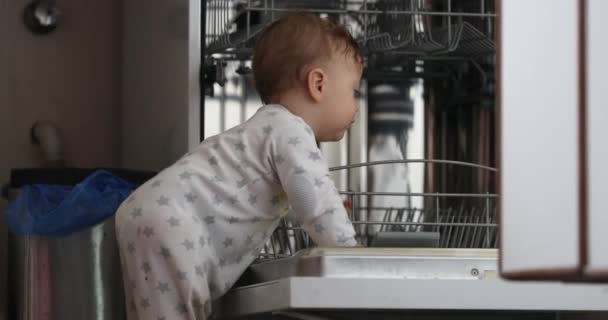 Cute Baby Standing Dishwasher Kitchen — ストック動画