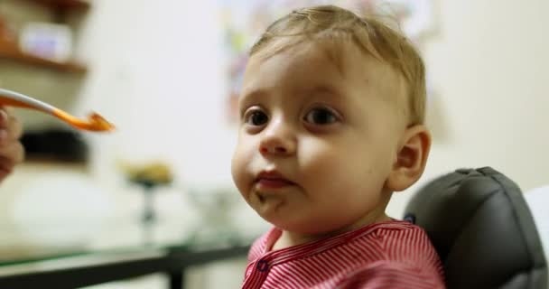 Parent Feeding Baby Toddler Infant Boy Kitchen — Vídeo de stock