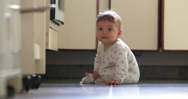 Calm Baby Toddler Sitted Kitchen Floor Observing — Stockvideo