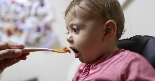 Ταΐζοντας Μωρό Κάθεται Καρεκλάκι Casual Και Την Πραγματική Ζωή Δεν — Αρχείο Βίντεο