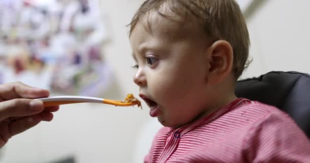 Feeding Baby Sitted High Chair Casual Real Life Staged — Vídeos de Stock