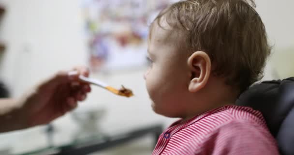Feeding Baby Infant Boy Kitchen Casual Authentic Scene — Vídeo de stock