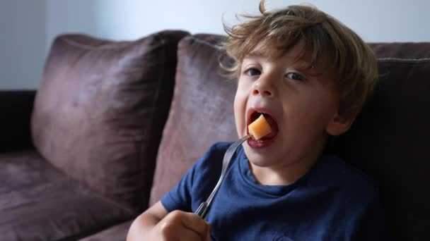 Child Eating Melon Fruit Little Boy Eating Healthy Snack — Vídeo de Stock