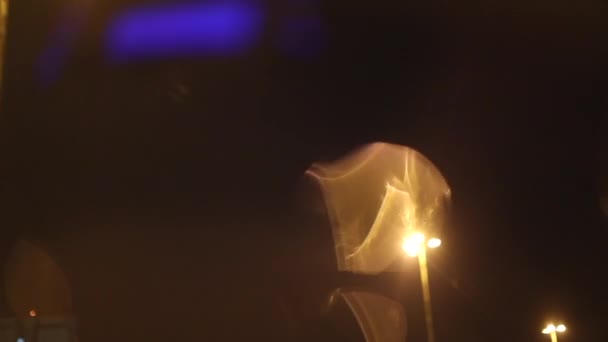 Lamps Seen Passenger Perspective Night City Road Rain — Vídeo de stock
