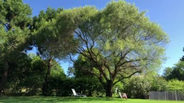 Büyük ağaçlı ev bahçesi