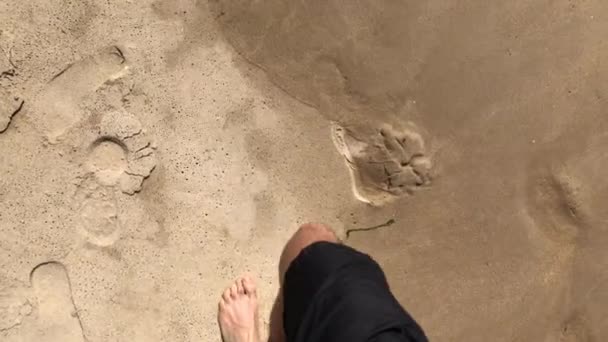 Pov Der Person Beine Fuß Strand — Stockvideo