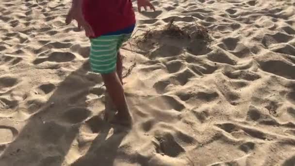 Child Feet Walking Sand Beach — Stock Video