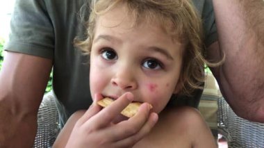 Toddler boy eating cookie on father lap