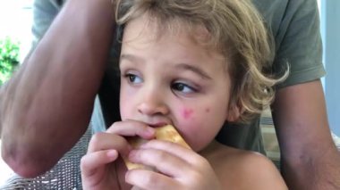Child boy eating cookie on father lap