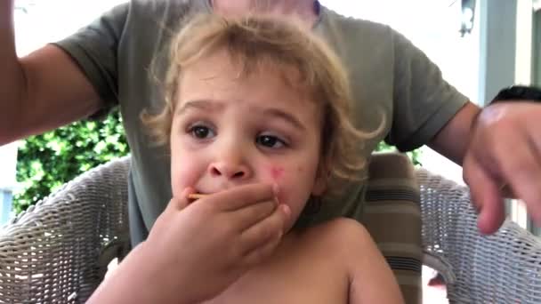 Toddler Boy Eating Cookie Father Lap — Stock videók