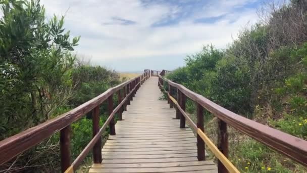 Pathway Beach Pov Person Walking Ocean — Stockvideo