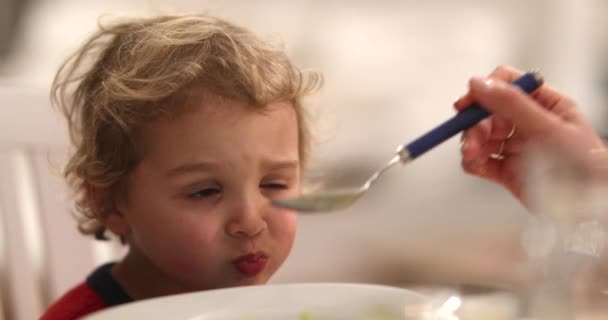 Feeding Soup Little Boy Child Kid Eating Supper — ストック動画