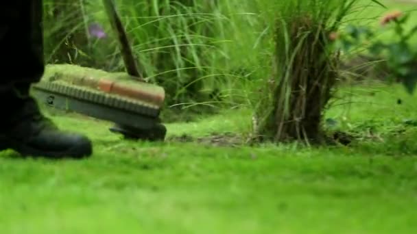 Trimming Grass Mower — Stockvideo