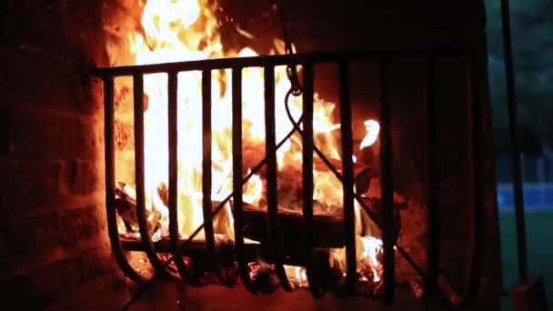 Bbq Fire Churrasco Burning 120Fps — Wideo stockowe