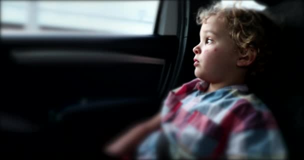 Child Backseat Car Traveling Road Looking Out Window Daydreaming — Stockvideo