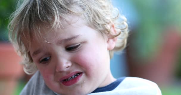 Tearful Little Boy Upset — Stockvideo