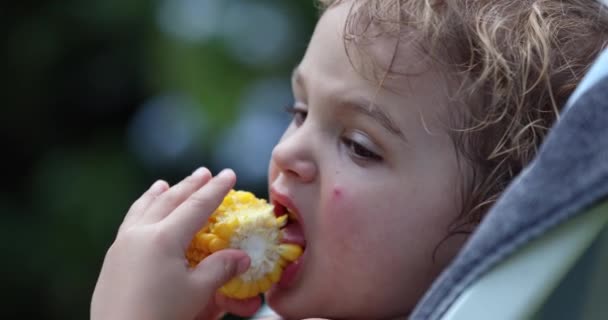 Child Boy Eating Corn — Stok video