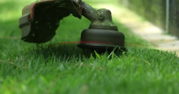 Cutting Grass Machine Worker Trimming Garden Mower — Vídeo de Stock