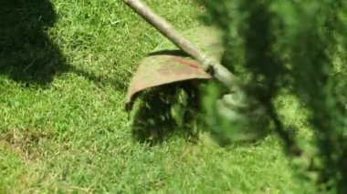 Cutting grass with machine