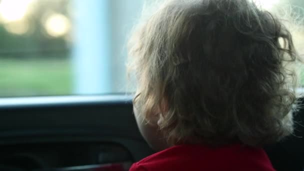 Barnet Tittar Bil Fönstret — Stockvideo