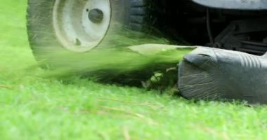 Cutting grass with professional lawn mower machine, worker trimming garden