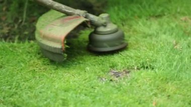 Cutting lawn with machine, trimming grass with mower